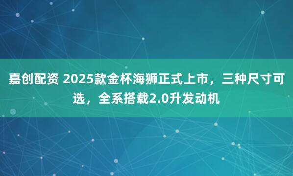 嘉创配资 2025款金杯海狮正式上市，三种尺寸可选，全系搭载2.0升发动机